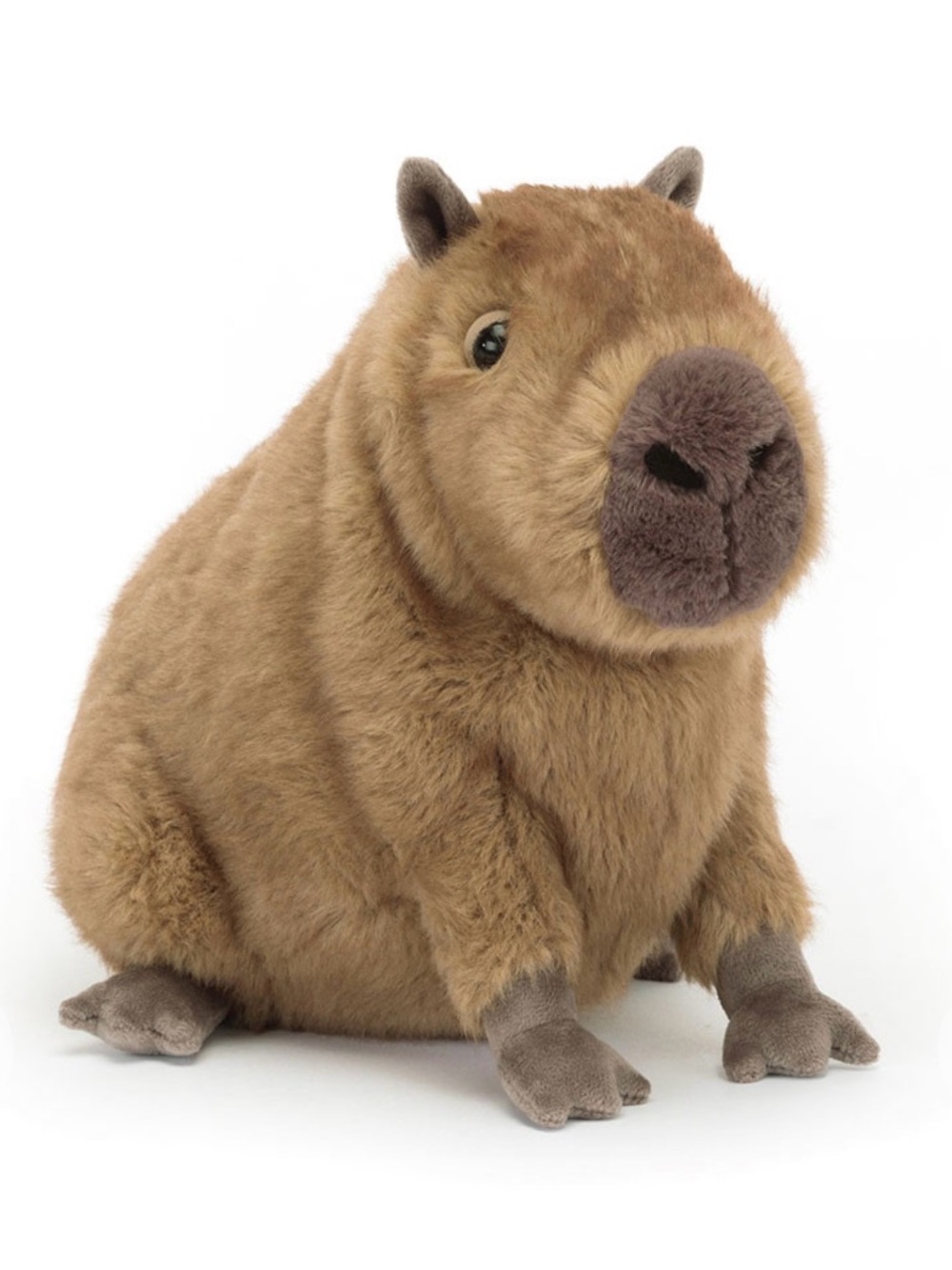 Jellycat Tan and Dark Brown Capybara Plush